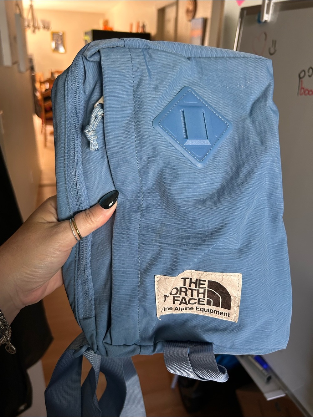 The North Face Light Blue Backpack Daypack for Men
